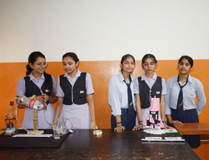 Science Project Pataudi 2023 12